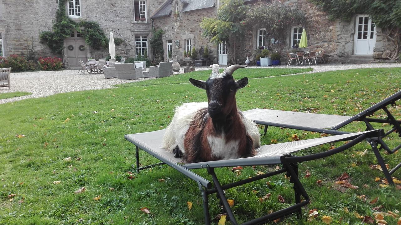 Manoir Du Quengo Bed & Breakfast Rohan Eksteriør bilde